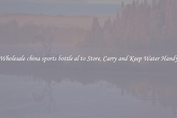 Wholesale china sports bottle al to Store, Carry and Keep Water Handy