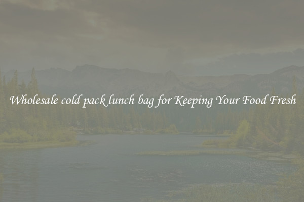 Wholesale cold pack lunch bag for Keeping Your Food Fresh