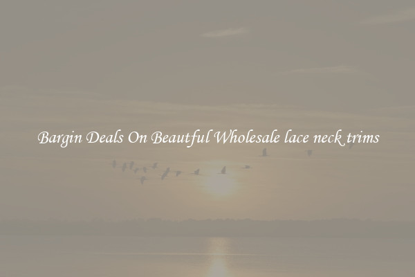 Bargin Deals On Beautful Wholesale lace neck trims