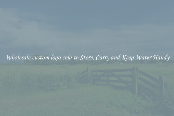 Wholesale custom logo cola to Store, Carry and Keep Water Handy