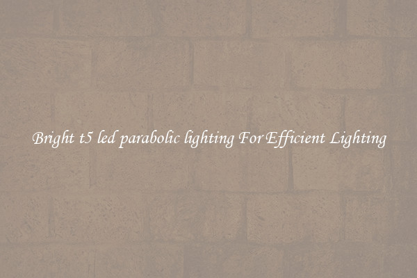 Bright t5 led parabolic lighting For Efficient Lighting