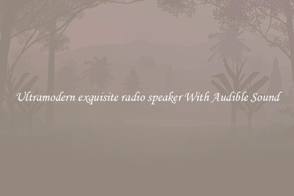 Ultramodern exquisite radio speaker With Audible Sound
