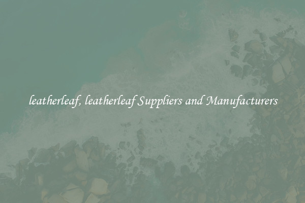 leatherleaf, leatherleaf Suppliers and Manufacturers