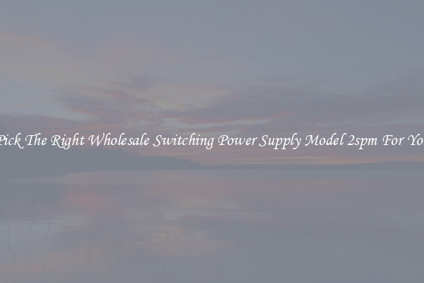 Pick The Right Wholesale Switching Power Supply Model 2spm For You