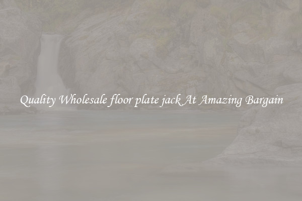 Quality Wholesale floor plate jack At Amazing Bargain