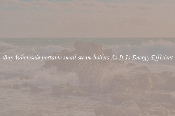 Buy Wholesale portable small steam boilers As It Is Energy Efficient