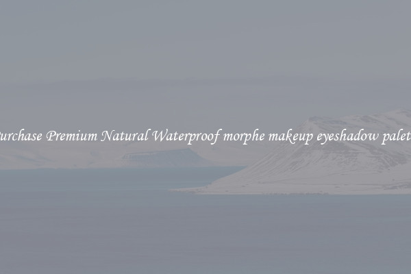 Purchase Premium Natural Waterproof morphe makeup eyeshadow palette