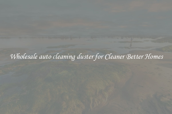 Wholesale auto cleaning duster for Cleaner Better Homes