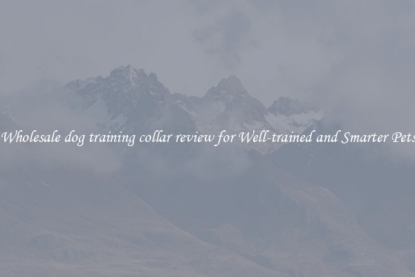 Wholesale dog training collar review for Well-trained and Smarter Pets