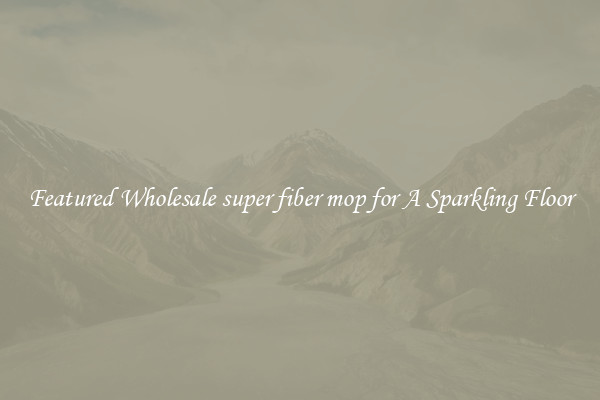 Featured Wholesale super fiber mop for A Sparkling Floor