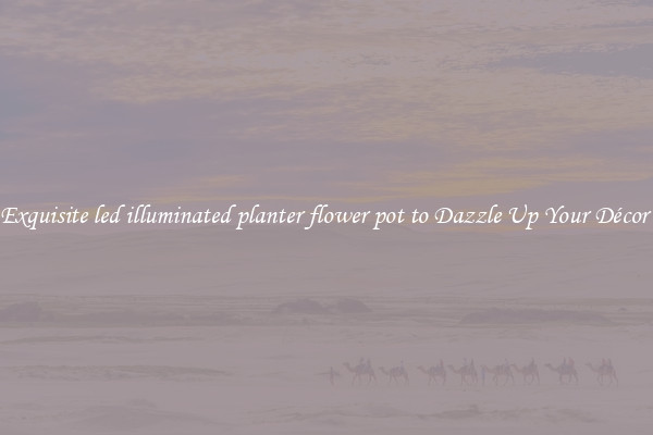 Exquisite led illuminated planter flower pot to Dazzle Up Your Décor 