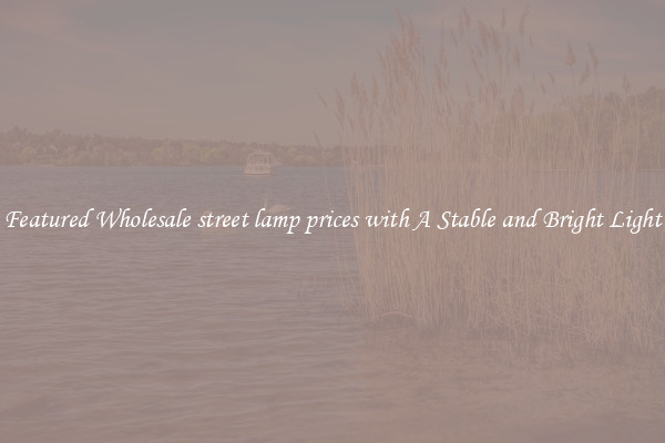Featured Wholesale street lamp prices with A Stable and Bright Light