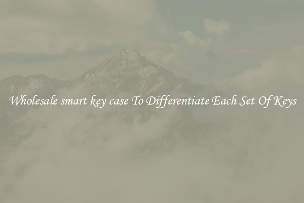 Wholesale smart key case To Differentiate Each Set Of Keys