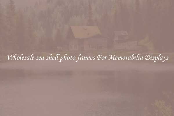 Wholesale sea shell photo frames For Memorabilia Displays