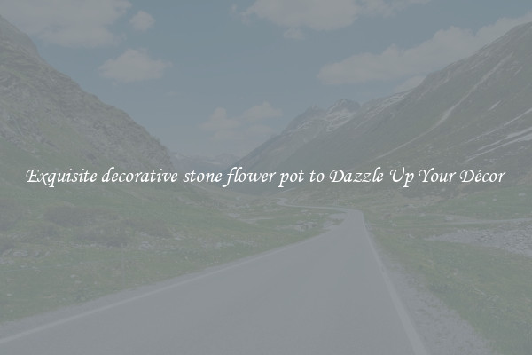 Exquisite decorative stone flower pot to Dazzle Up Your Décor 