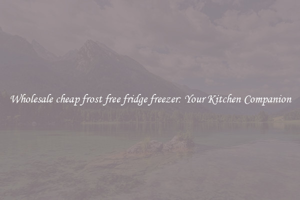 Wholesale cheap frost free fridge freezer: Your Kitchen Companion