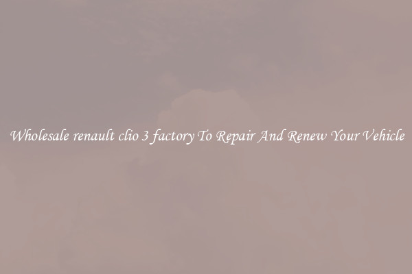 Wholesale renault clio 3 factory To Repair And Renew Your Vehicle